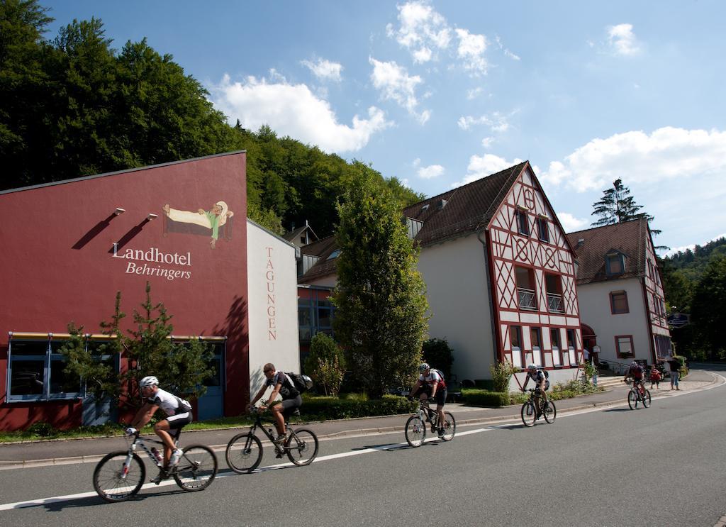 Behringers Freizeit - Und Tagungshotel ゲスヴァインシュタイン エクステリア 写真